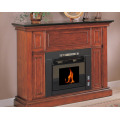 ZHONGLI ZLR14 Small Hardwood  Pellet Stove Wood Burning Fireplace Electric Insert